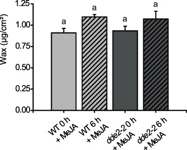 Fig. 3