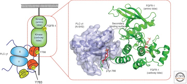 Figure 6.