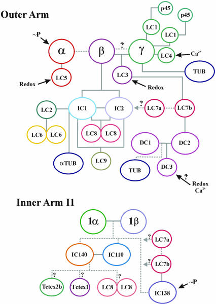 Figure 10.