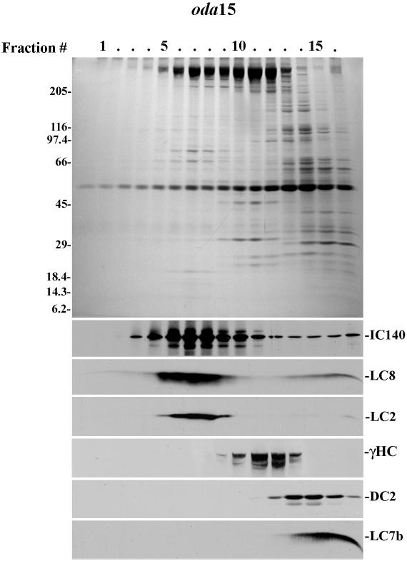 Figure 9.