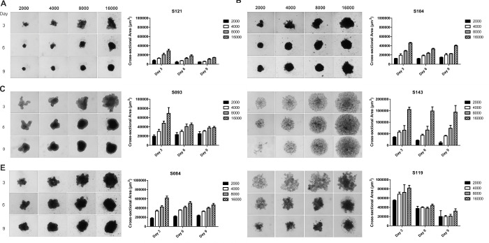 Figure 2.