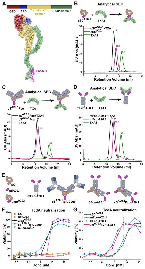 Figure 2: