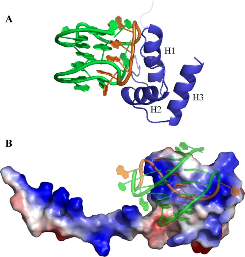 FIGURE 5.