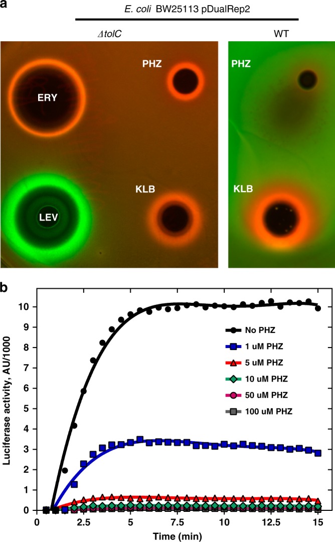 Fig. 2