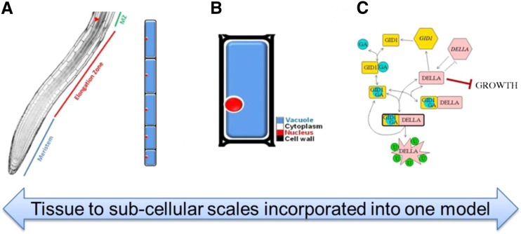 Figure 3.