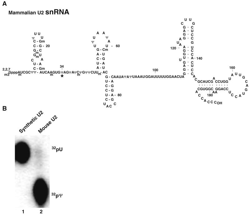 Fig. 2.2