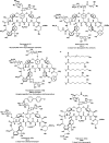 Figure 22
