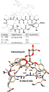 Figure 20