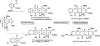 Scheme 10