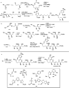 Scheme 25