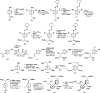 Scheme 15