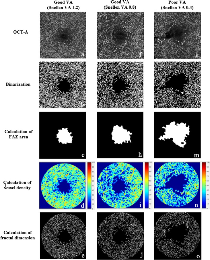 Fig. 2