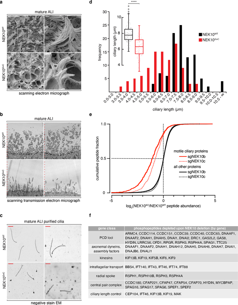 Fig. 4: