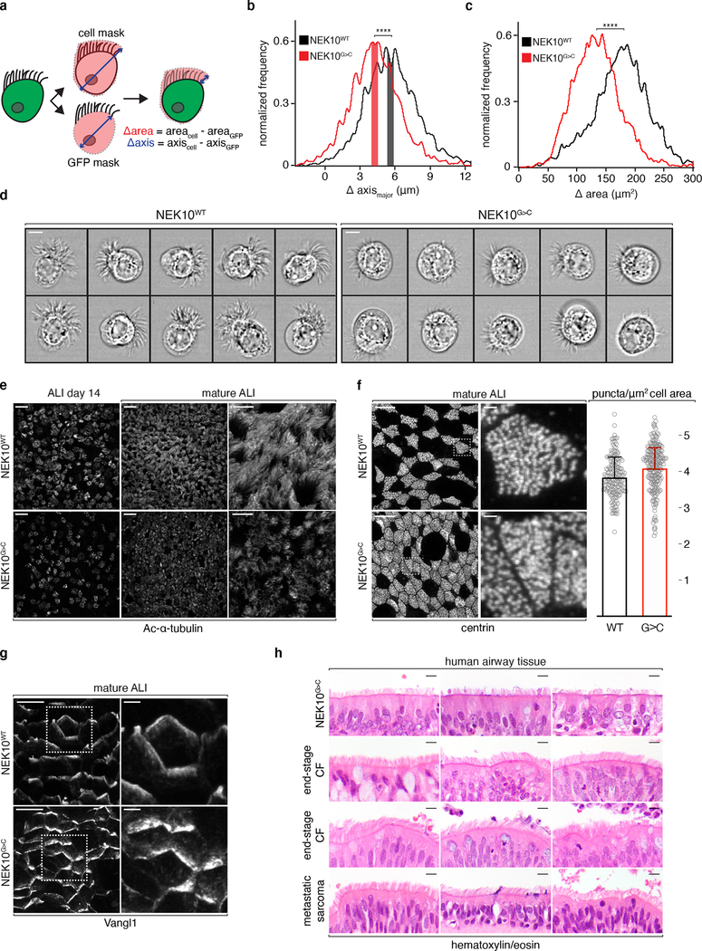 Fig. 3: