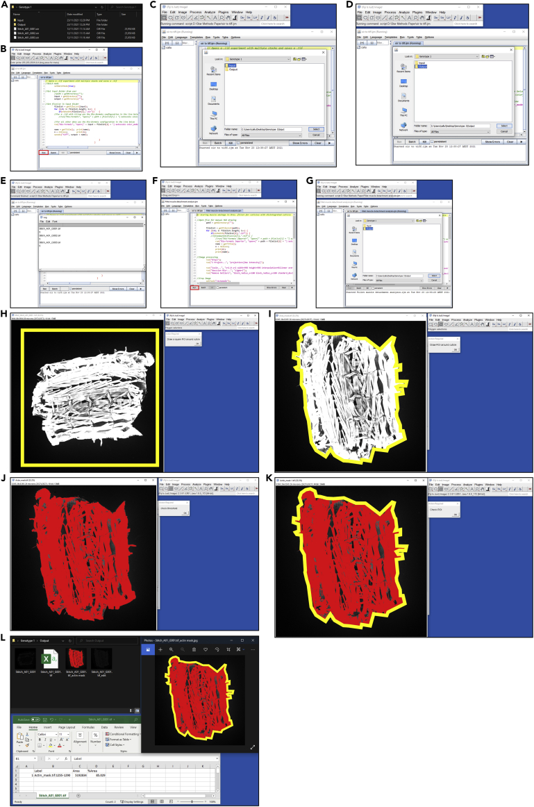 Figure 3