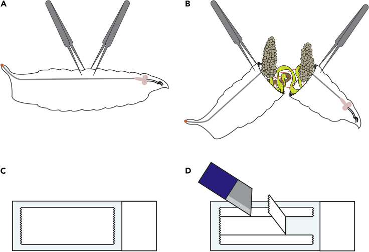 Figure 5