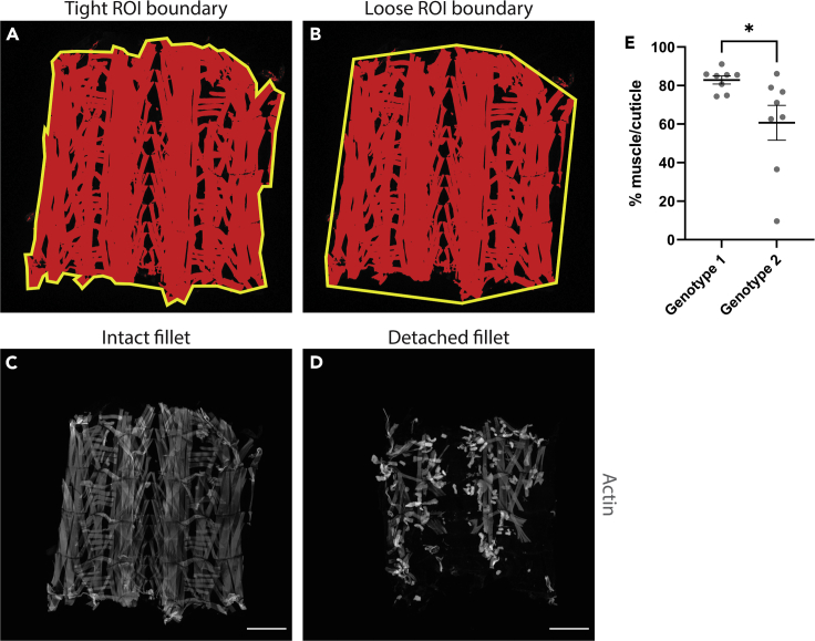 Figure 4