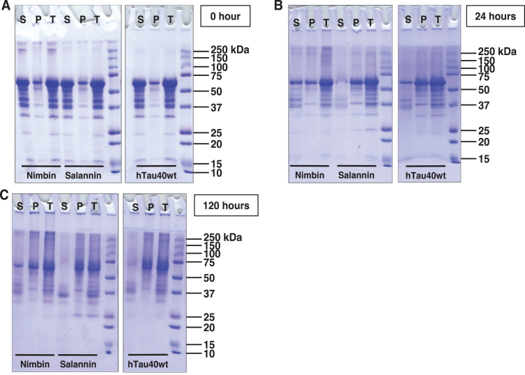 Fig.2