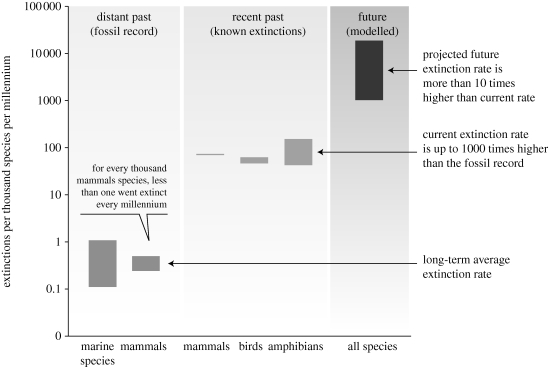 Figure 1.