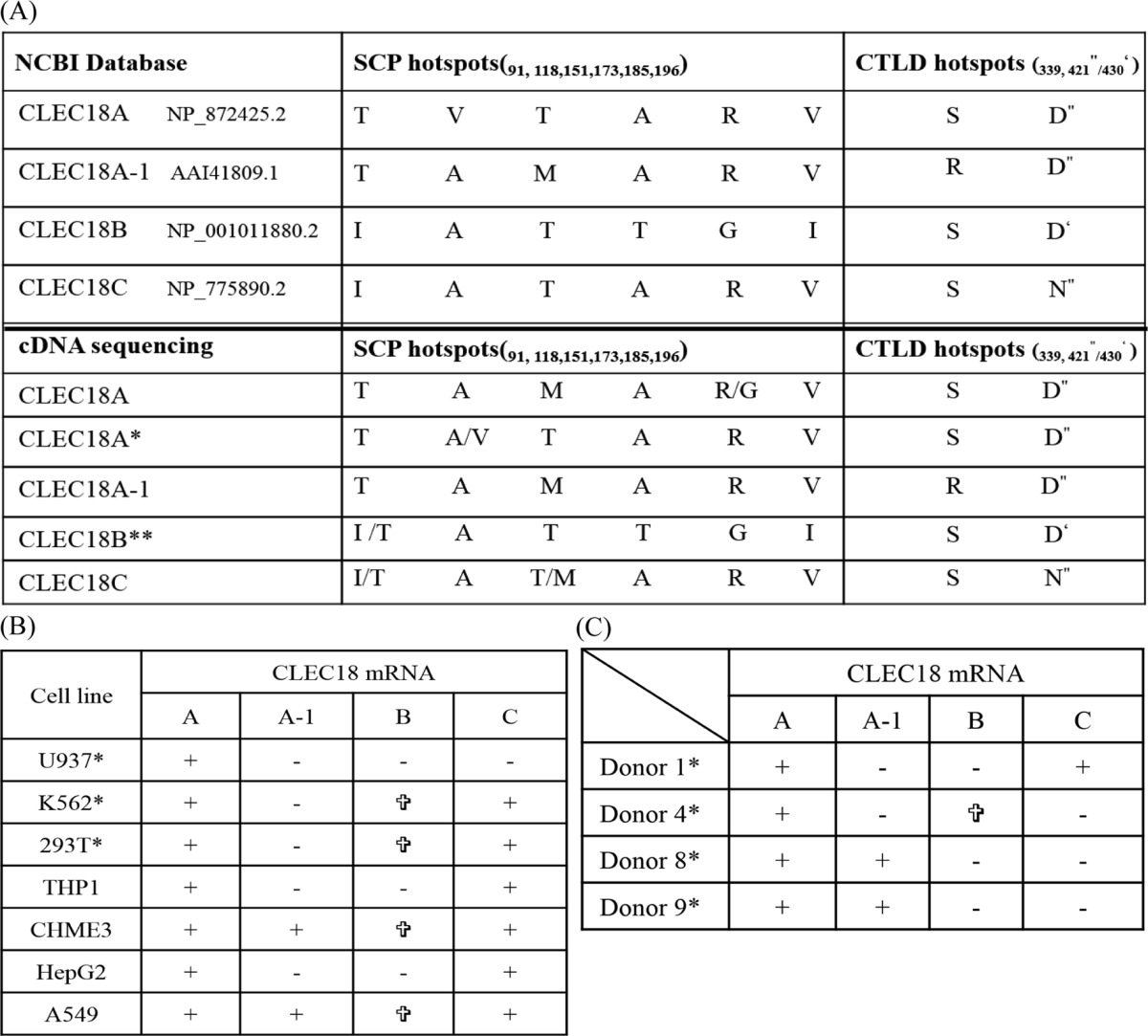 graphic file with name zbc039152480t003.jpg