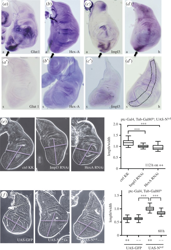 Figure 6.