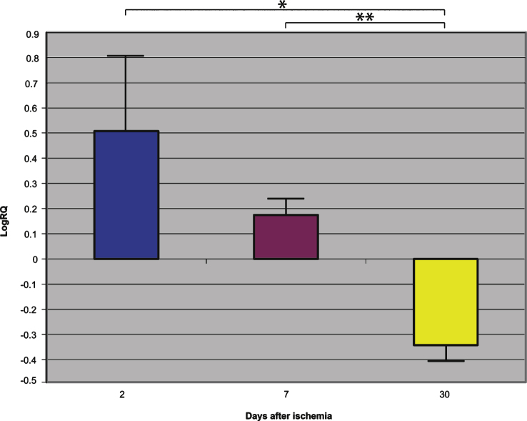 Fig.1