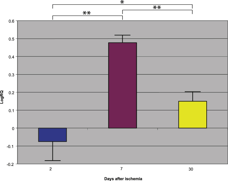 Fig.4