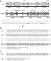 FIG 1