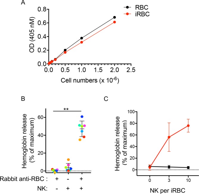 Figure 3—figure supplement 1.