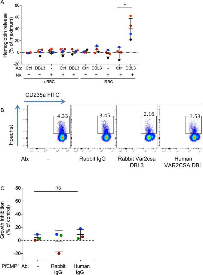 Figure 4—figure supplement 1.