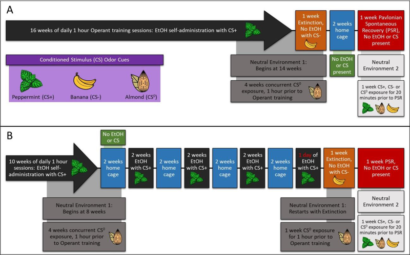 Figure 1: