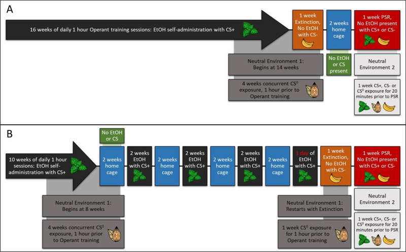 Figure 2: