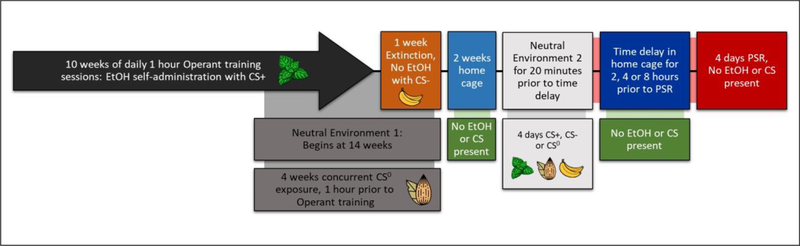 Figure 3: