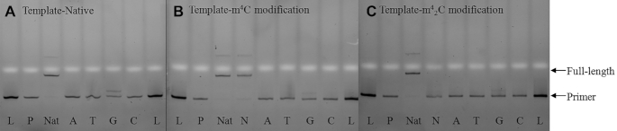 Figure 10.