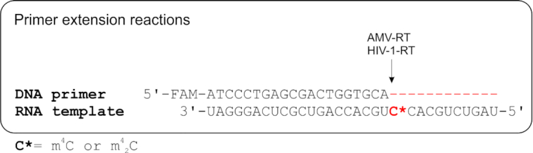 Figure 9.