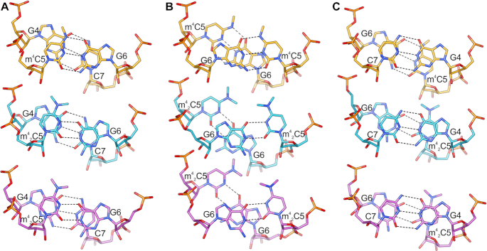 Figure 7.