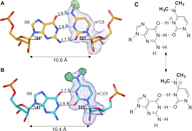 Figure 6.