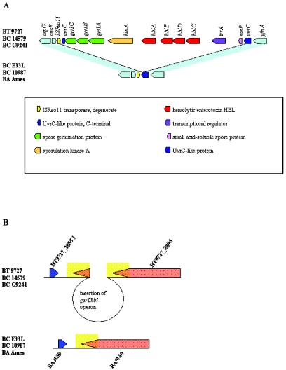 FIG. 2.