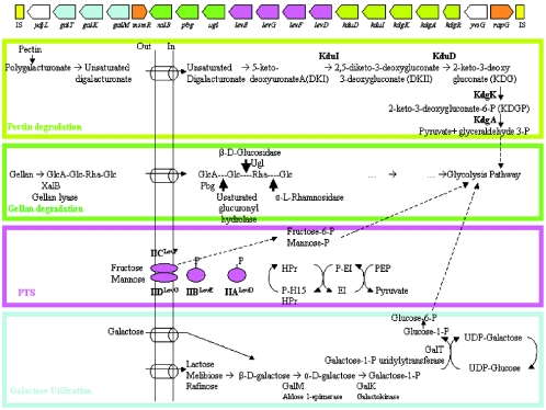 FIG. 3.