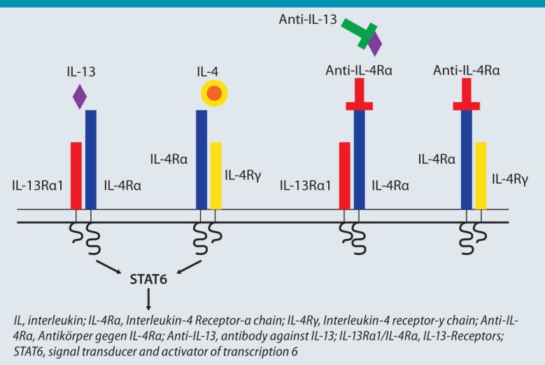 Fig. 2: