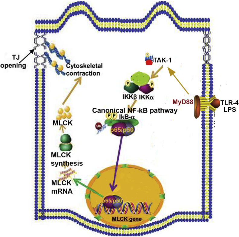 Figure 12