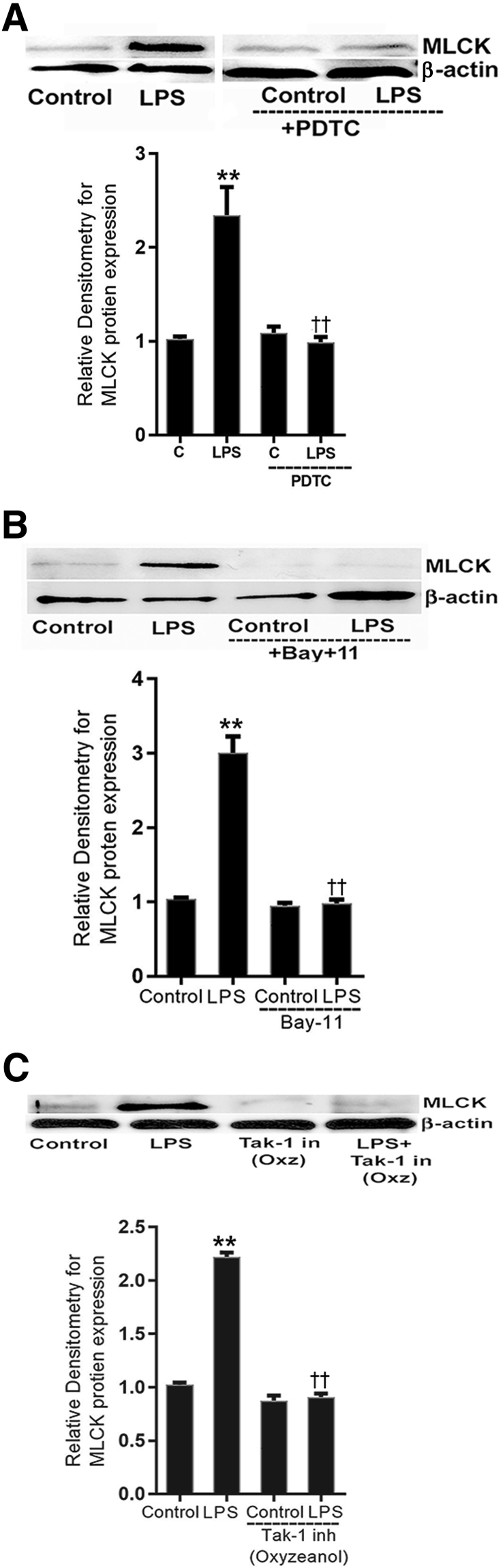 Figure 11