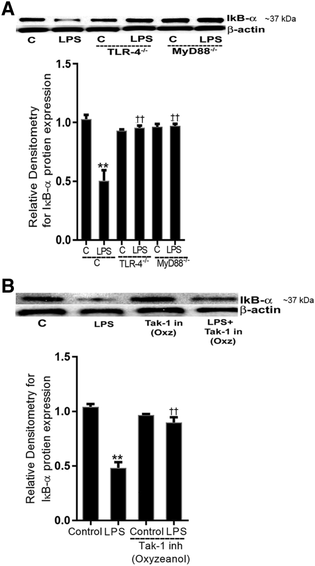 Figure 10