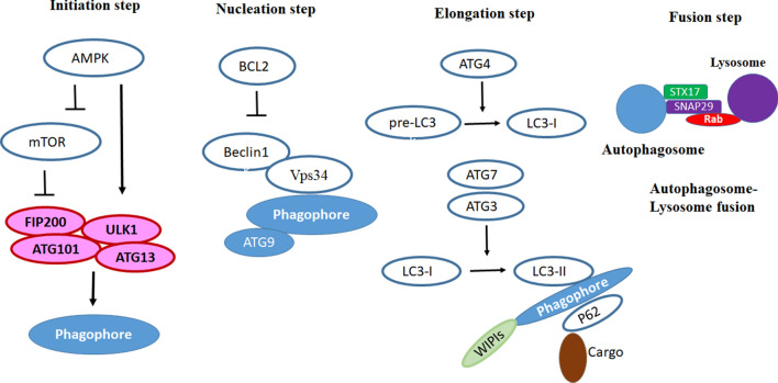 Fig. 3