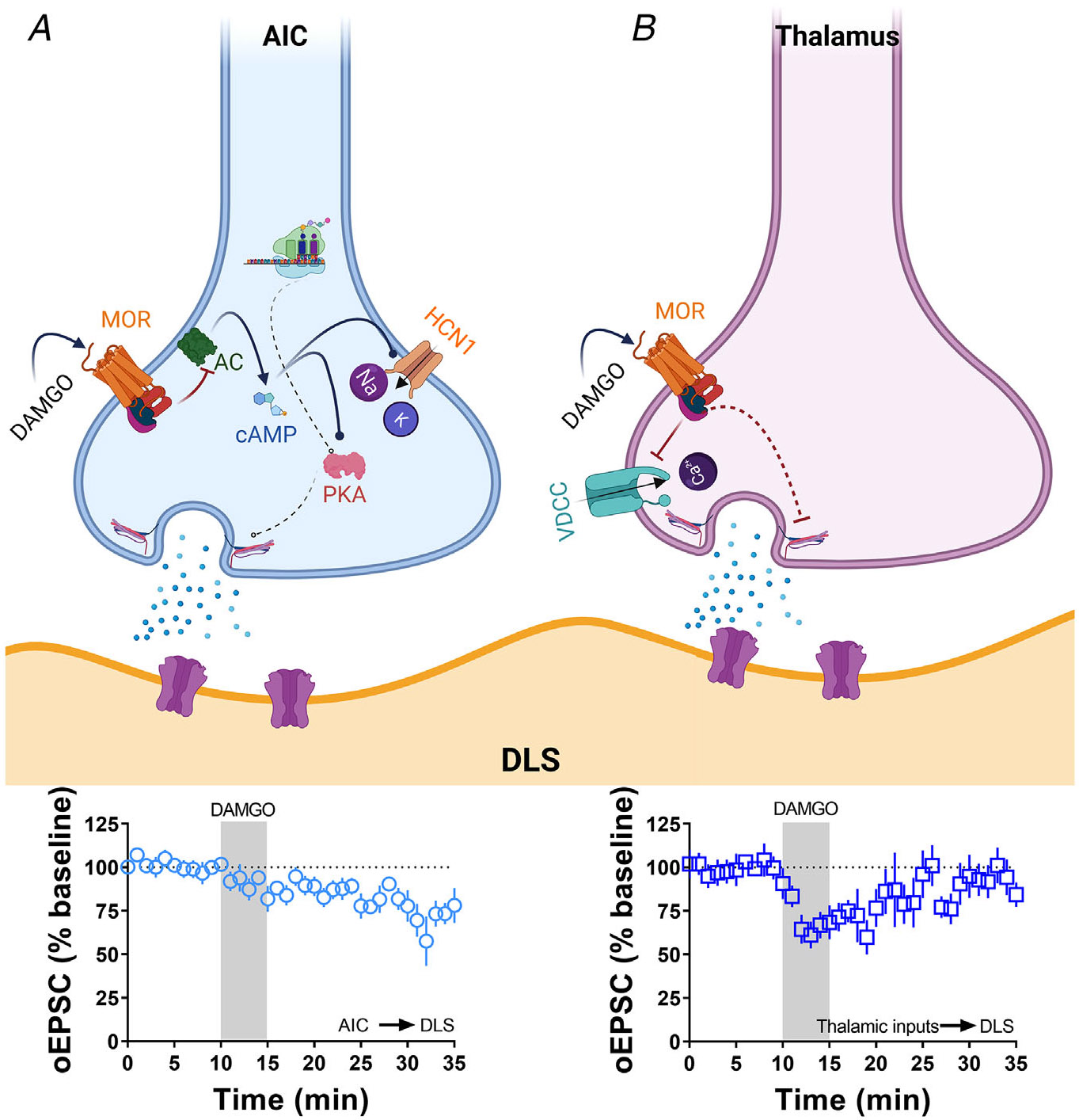 Figure 13.