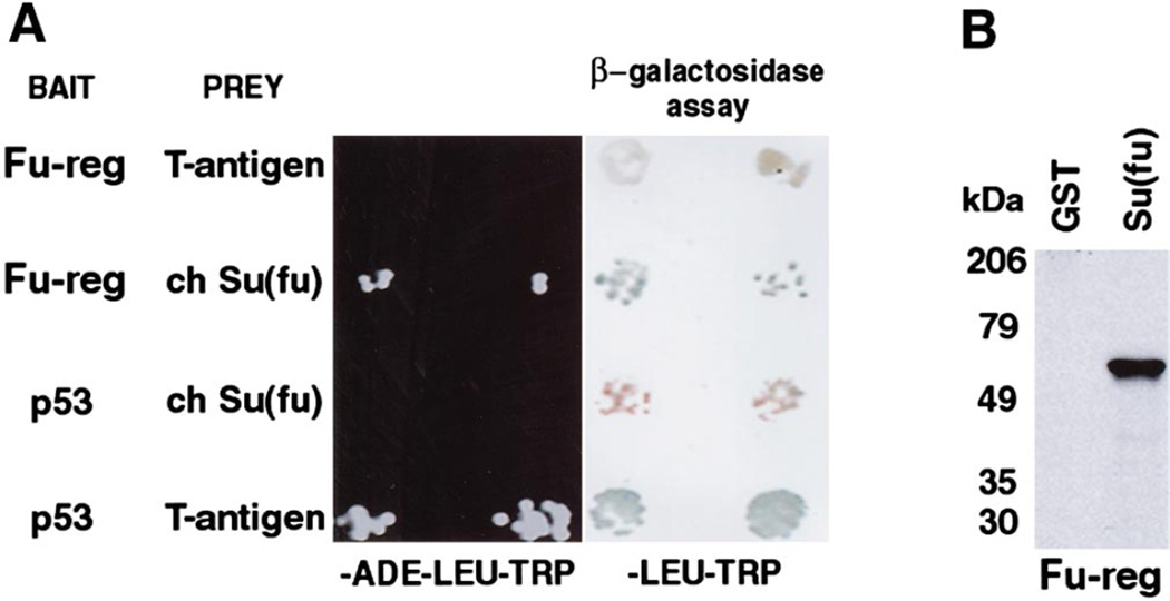 FIG. 4