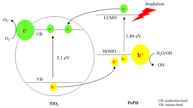 Figure 12