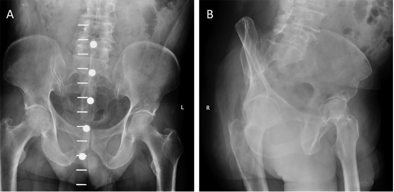 Fig. 7