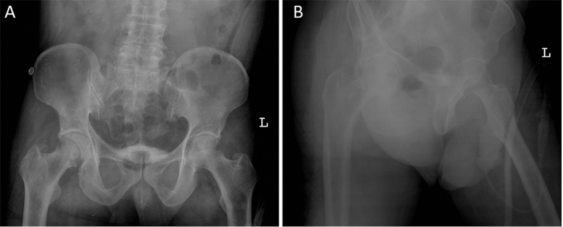 Fig. 5