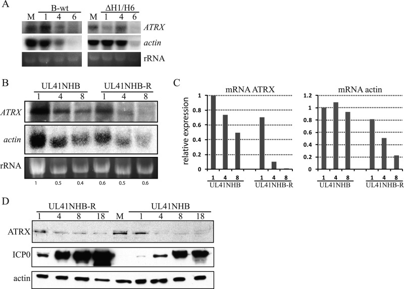 Fig 6